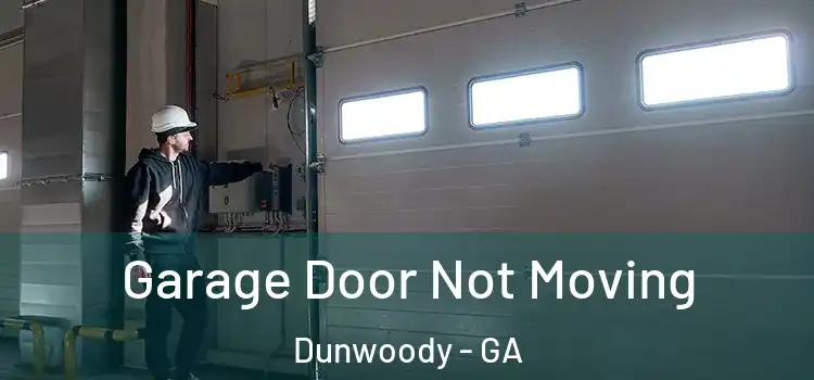  Garage Door Not Moving Dunwoody - GA