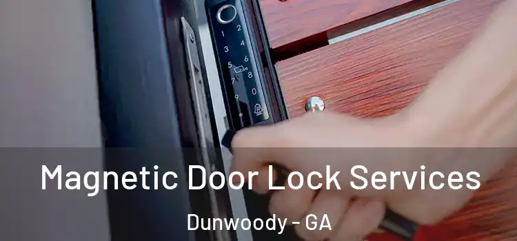 Magnetic Door Lock Services Dunwoody - GA